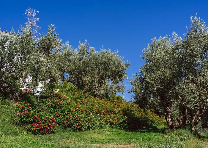 Cape Blue 3* Achladies (Skiathos)