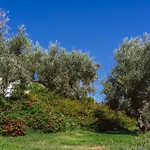 Cape Blue 4* אכלדיאס